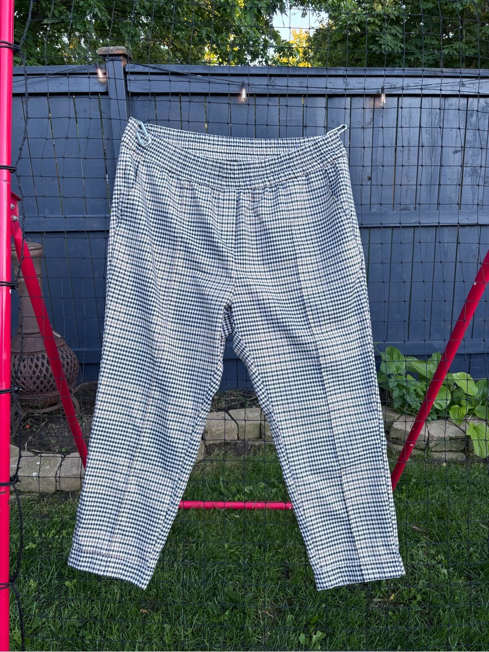 Lily Morgan Pants